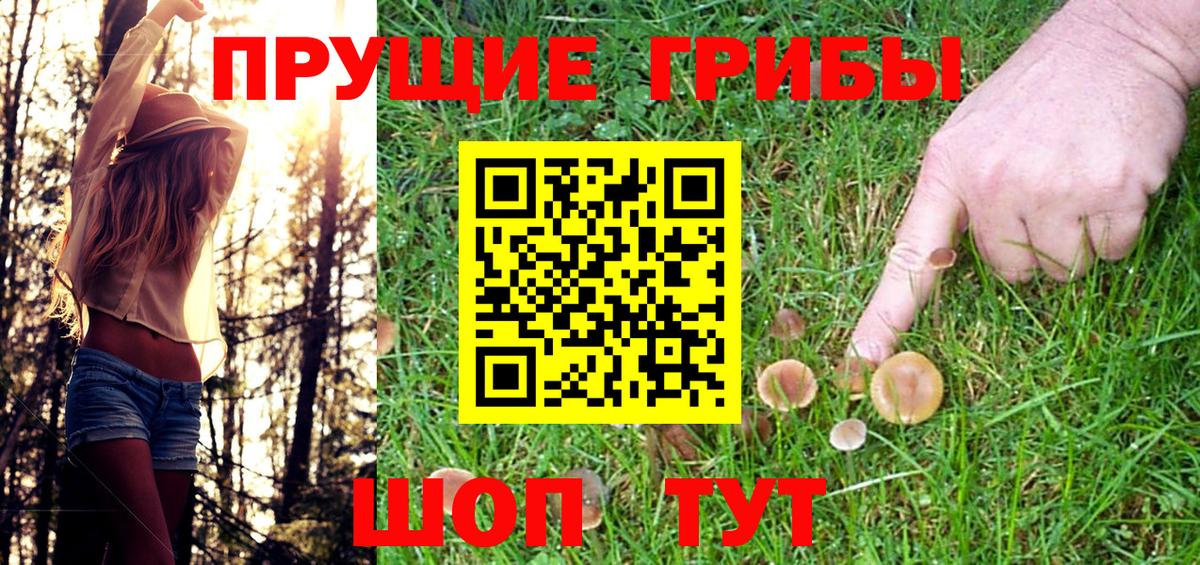 Псилоцибиновые грибы Psilocybine cubensis Елизово