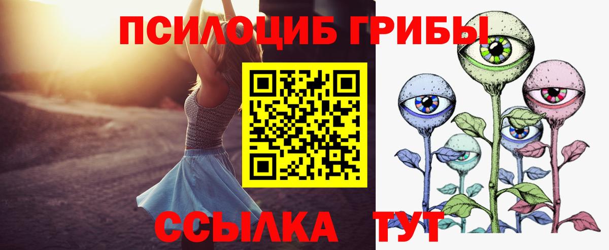 Елизово  Псилоцибиновые грибы Psilocybe  Вход с VPN  Галлюциногенные грибы Psilocybe 